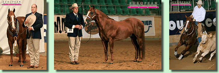 GM Freckles in Kreuth 2007